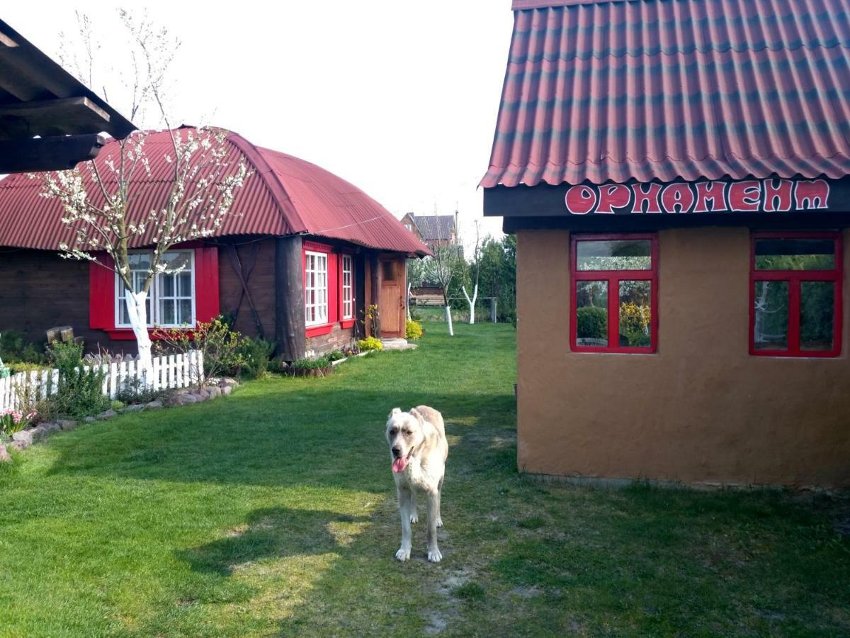 Садиба "Орнамент" Shatsk Ngoại thất bức ảnh